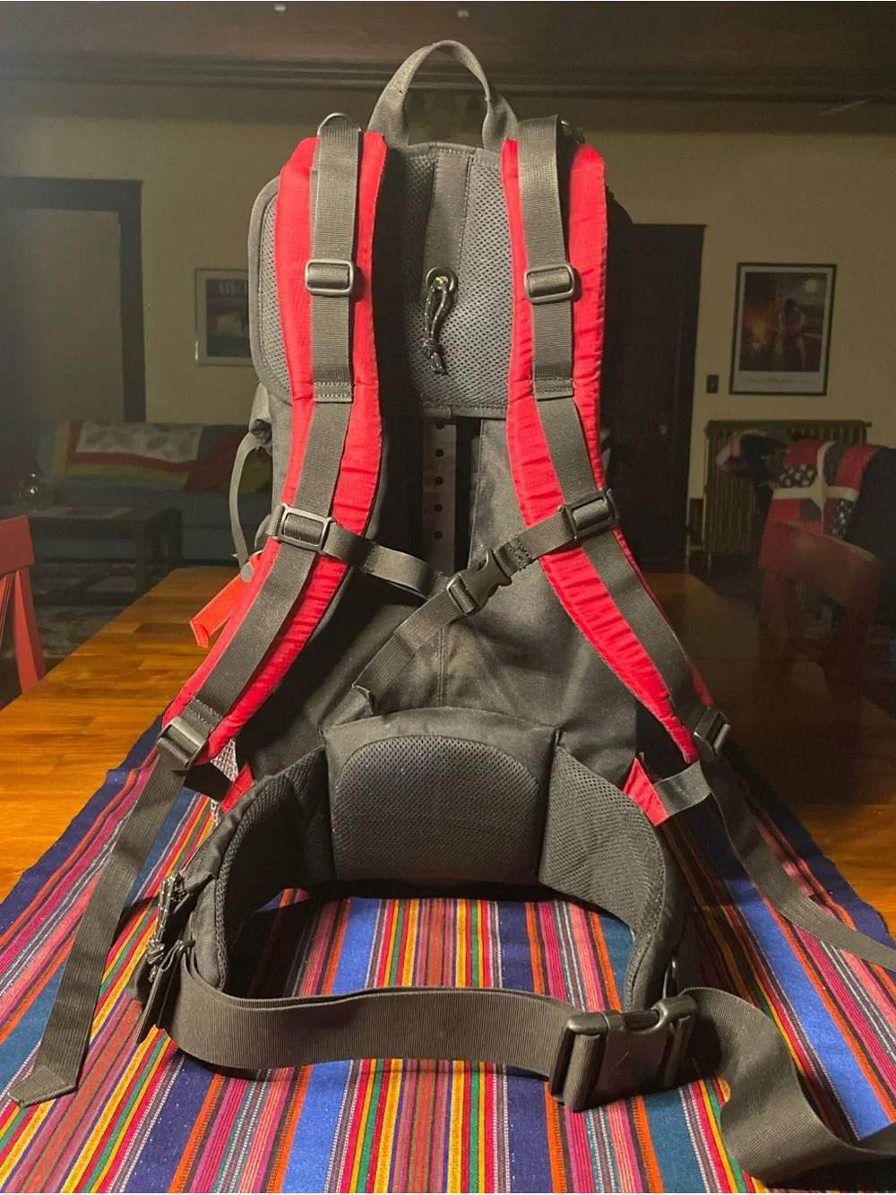 Kelty Kids TC 2.0 Red Charcoal Child Baby Backpack GUC Padded Straps Waist Belt